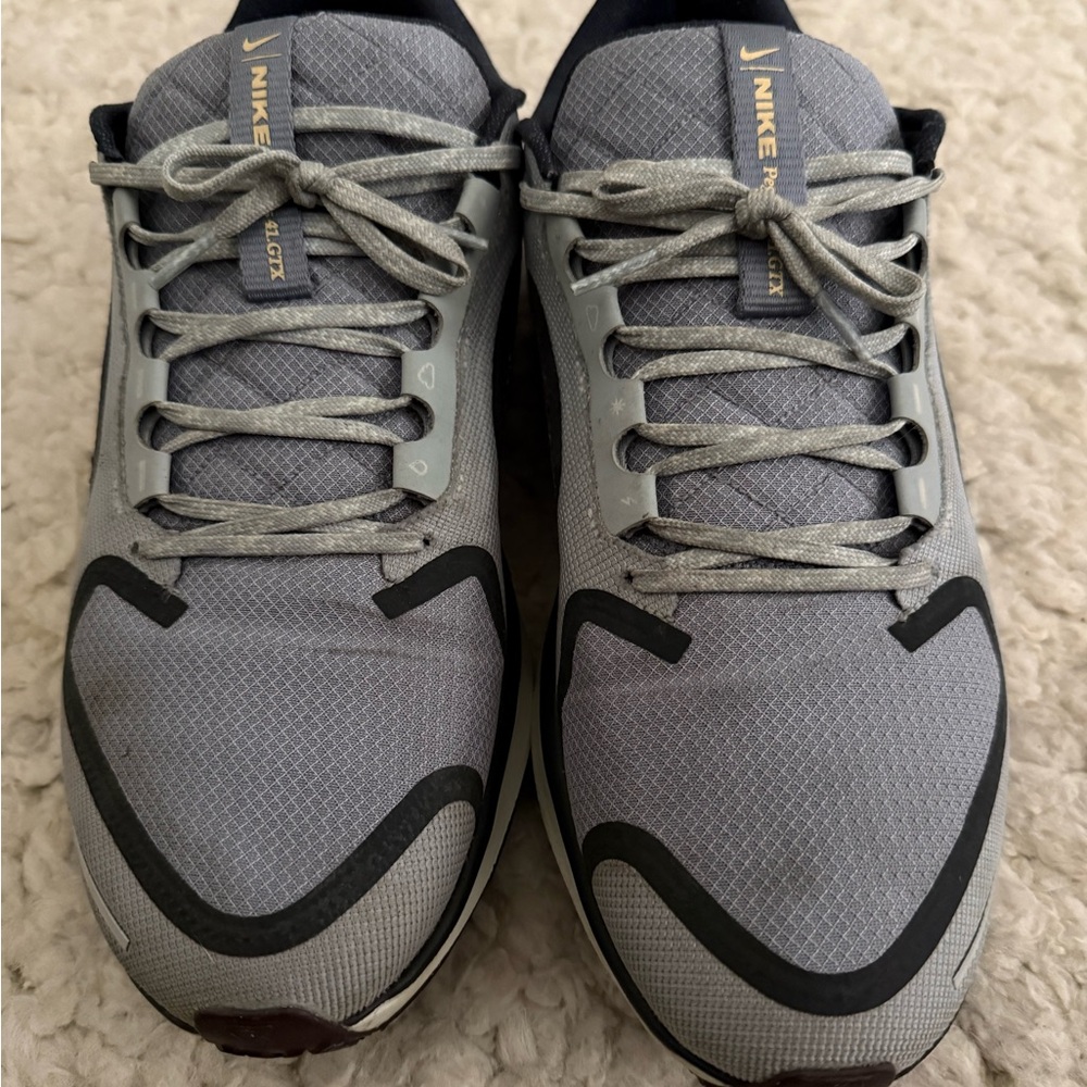 Nike Pegasus 41 GTX
